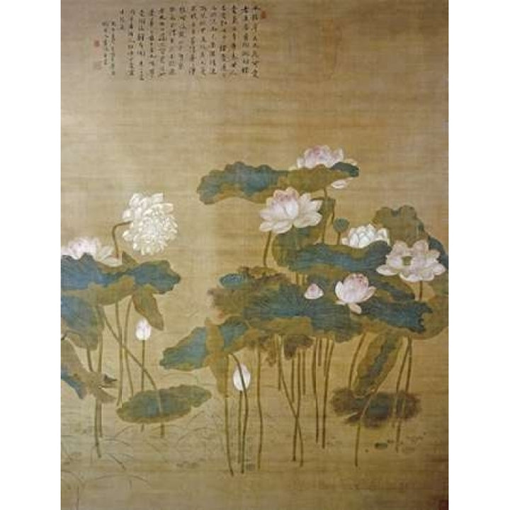 Lotus Pond Poster Print by Hua Yan Image 1