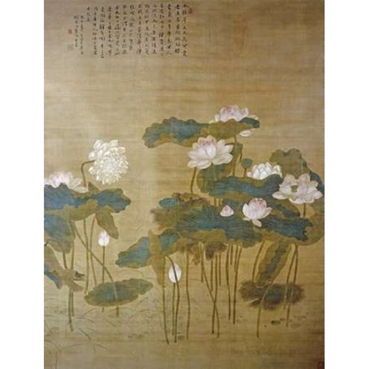 Lotus Pond Poster Print by Hua Yan Image 2