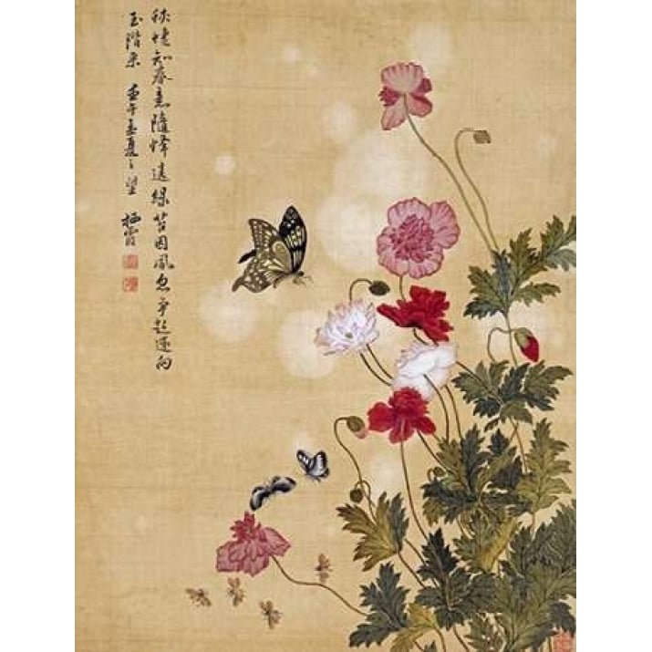 Corn Poppy and Butterflies Poster Print by Ma Yuanyu Image 2