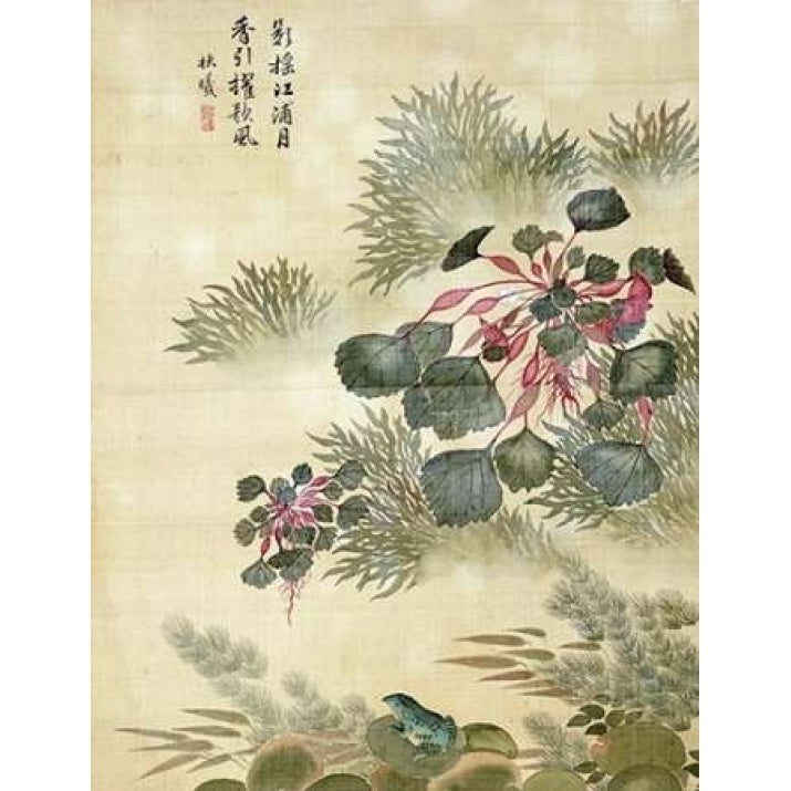 Water Caktrios and Frog Poster Print by Ma Yuanyu Image 1