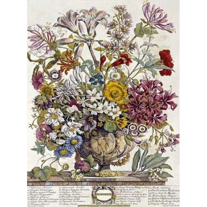 October - Twelve Months of Flowers Poster Print by Robert Furber Image 2