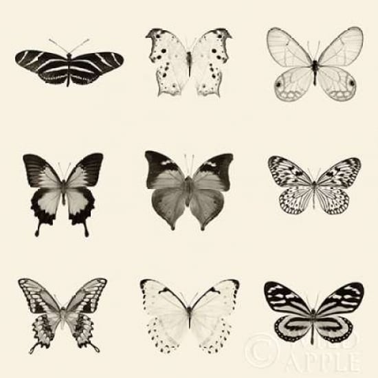 Butterfly BW 9 Patch Poster Print by Debra Van Swearingen Image 2