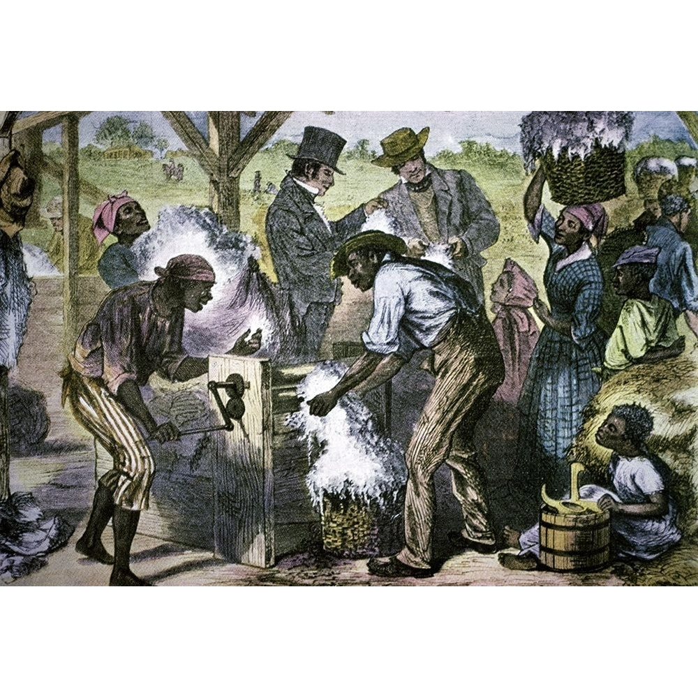 The First Cotton Gin Poster Print by William Ludwell Sheppard Image 1