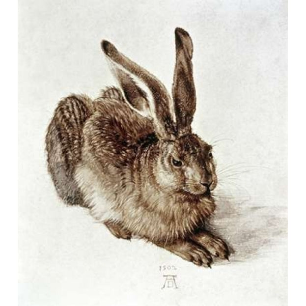 The Young Hare Poster Print by Albrecht Durer Image 2