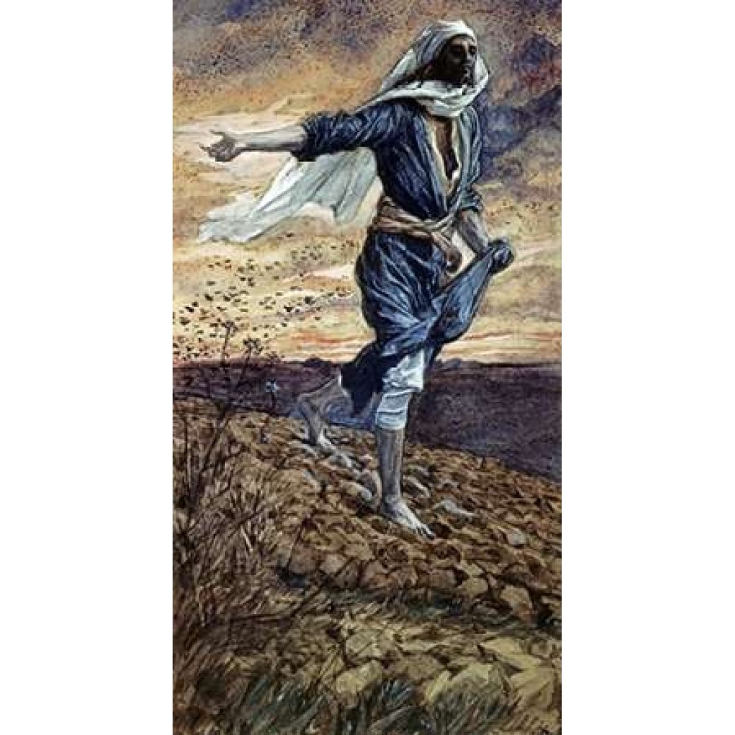 The Parable of the Sower Poster Print by James Jacques Tissot Image 1