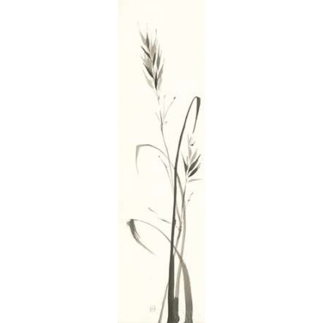 Wild Grass II Poster Print by Chris Paschke Image 2