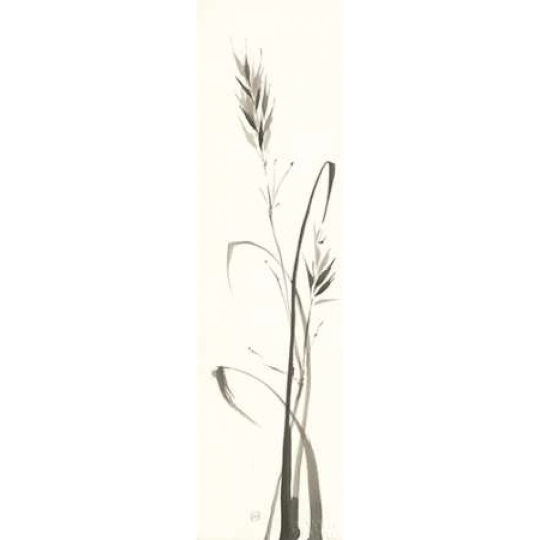 Wild Grass II Poster Print by Chris Paschke Image 1