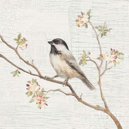 Black Capped Chickadee Vintage Poster Print by Danhui Nai Image 2