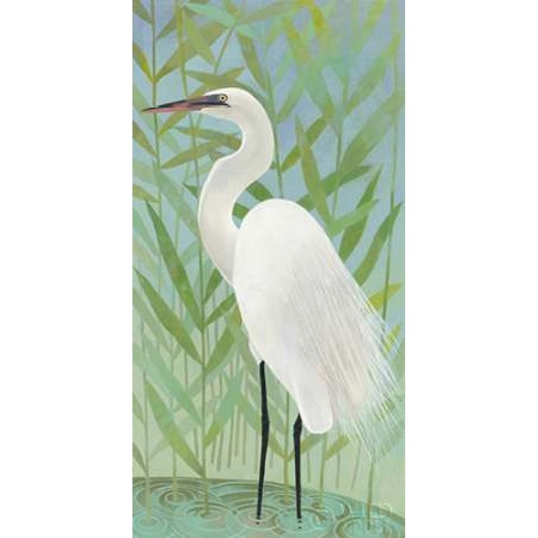 Egret by the Shore II Poster Print by Kathrine Lovell Image 2