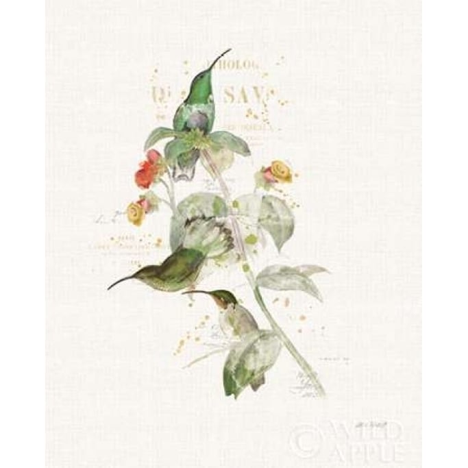 Colorful Hummingbirds III Poster Print by Katie Pertiet Image 1