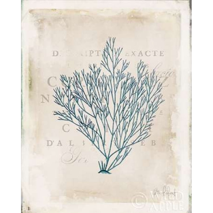 Sea Garden II Poster Print by Katie Pertiet Image 1