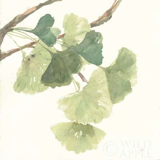 Gingko Leaves I Light Poster Print by Chris Paschke Image 1