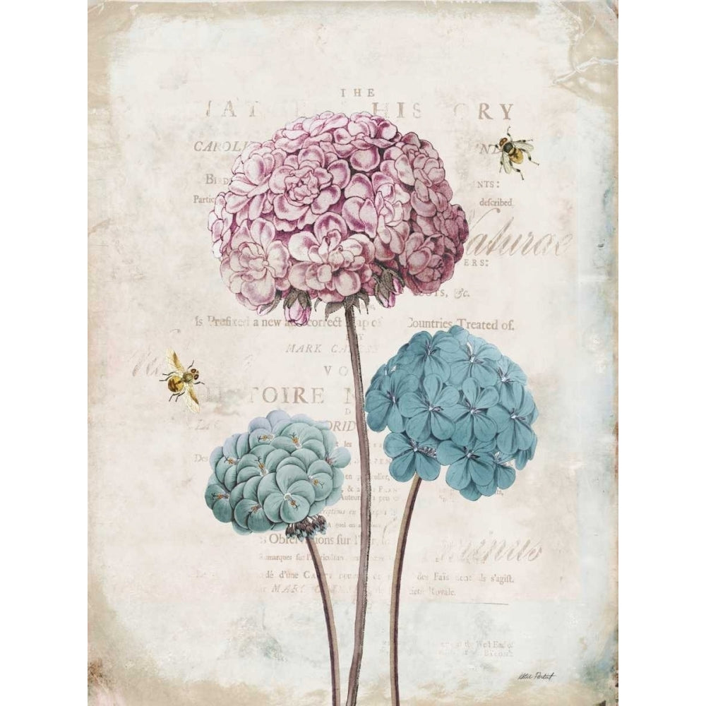 Geranium Study I Pink Flower Poster Print by Katie Pertiet Image 2