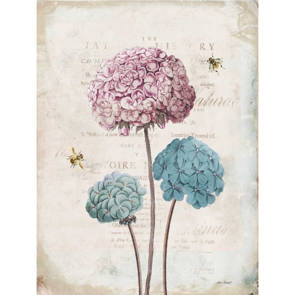 Geranium Study I Pink Flower Poster Print by Katie Pertiet Image 1