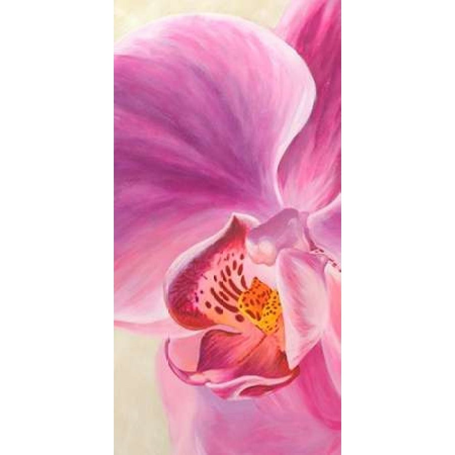 Purple Orchids I Poster Print by Cynthia Ann Image 1