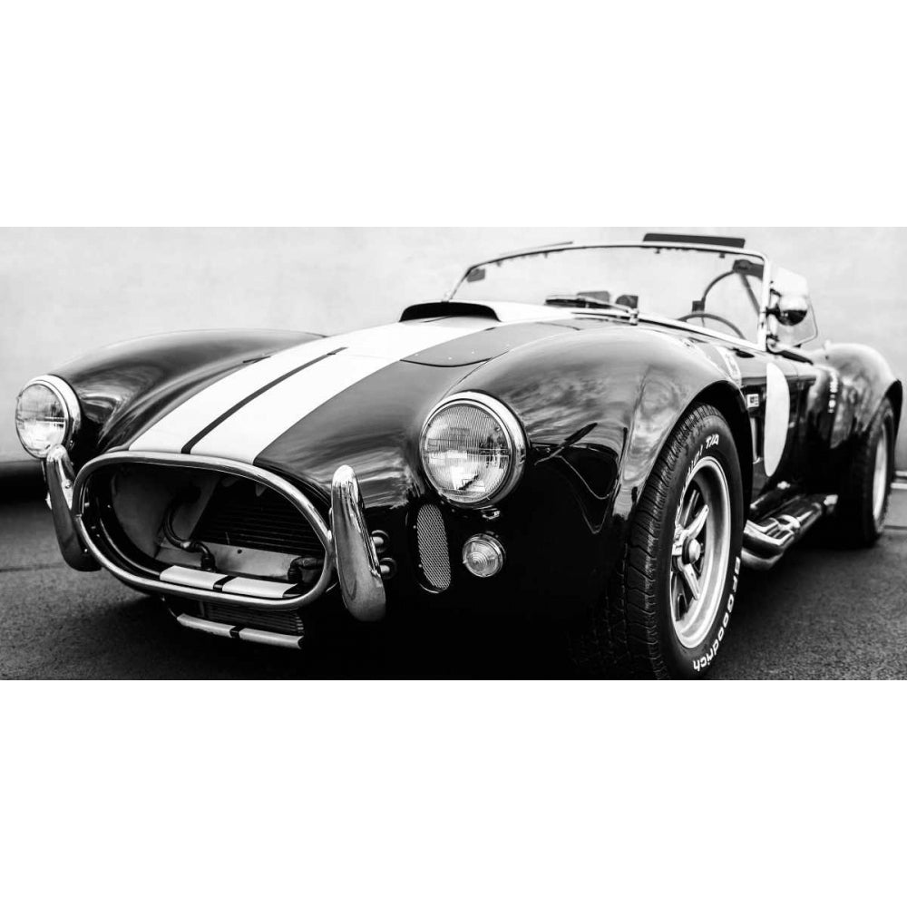 Black Cobra Poster Print by Gasoline Images Image 2