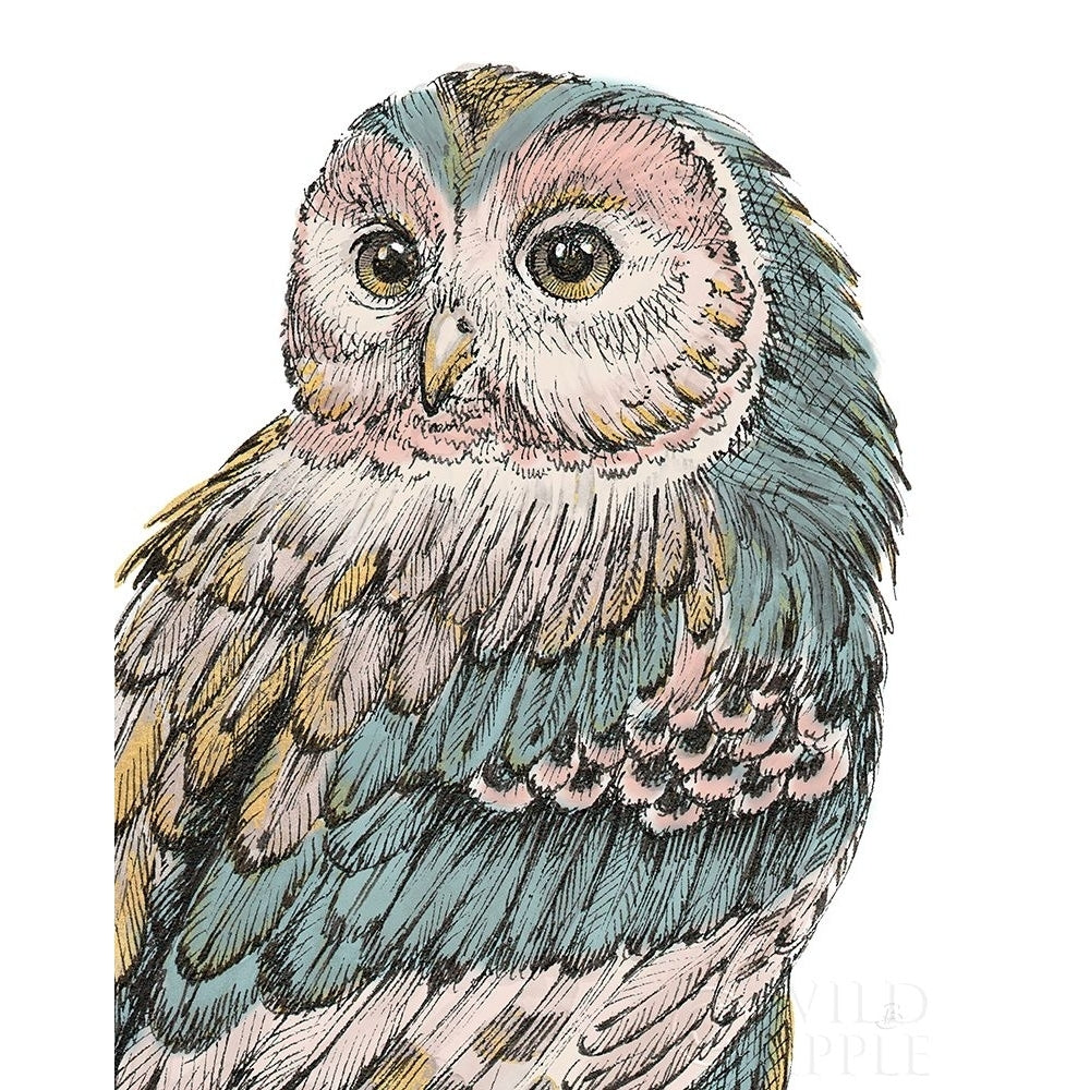 Beautiful Owls I Pastel Poster Print by Daphne Brissonnet Image 2