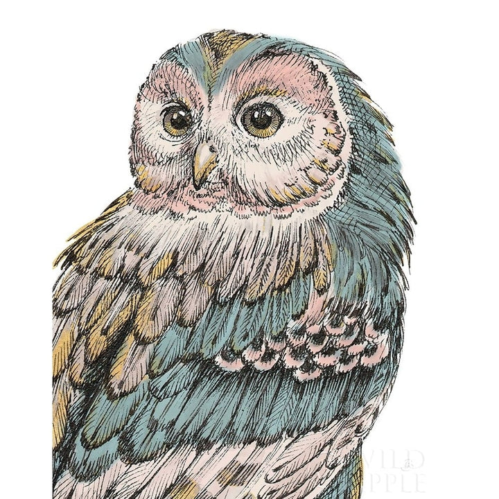 Beautiful Owls I Pastel Poster Print by Daphne Brissonnet Image 1