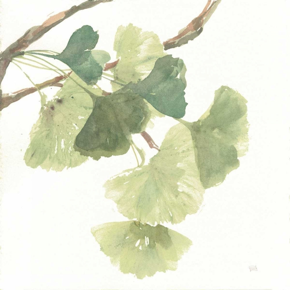 Gingko Leaves I on White Poster Print by Chris Paschke Image 1