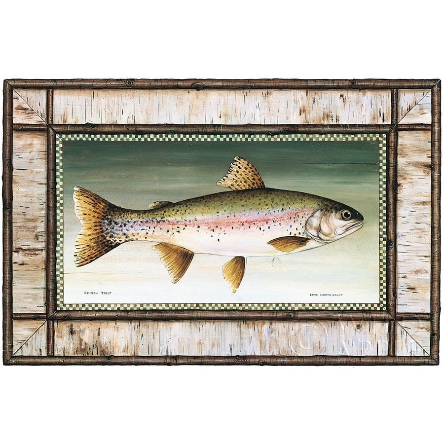 Rainbow Trout Birch Border Poster Print by David Carter Brown Image 1