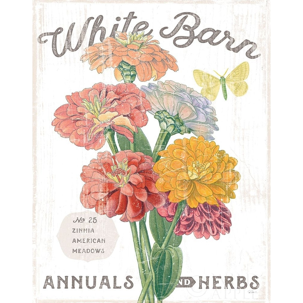 White Barn Flowers V Poster Print by Sue Schlabach Image 1