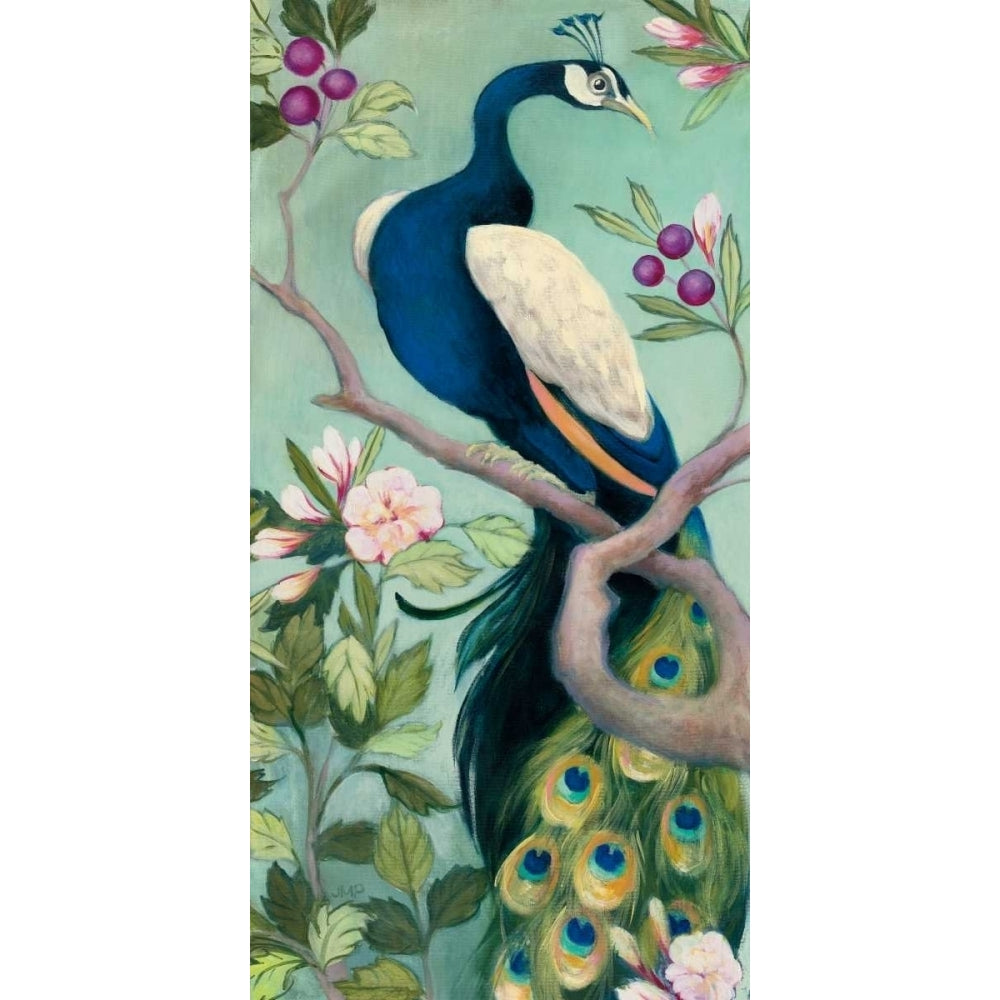 Pretty Peacock I Poster Print by Julia Purinton Image 1