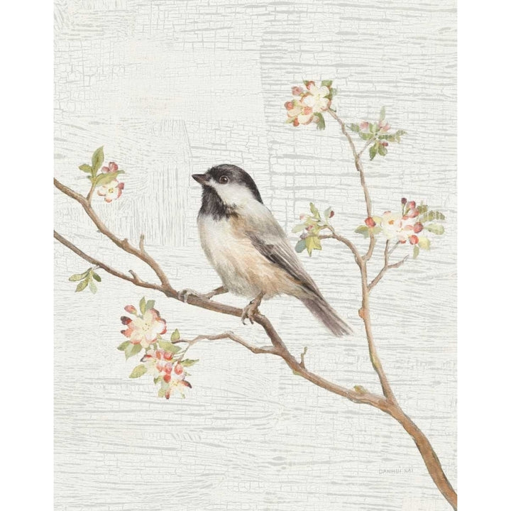 Black Capped Chickadee Vintage v2 Poster Print by Danhui Nai Image 1