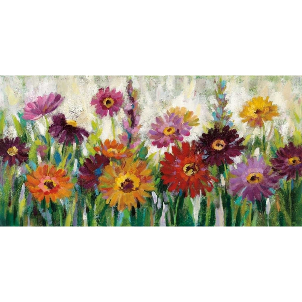 Jewel Daisy Gerbera Poster Print by Silvia Vassileva Image 1