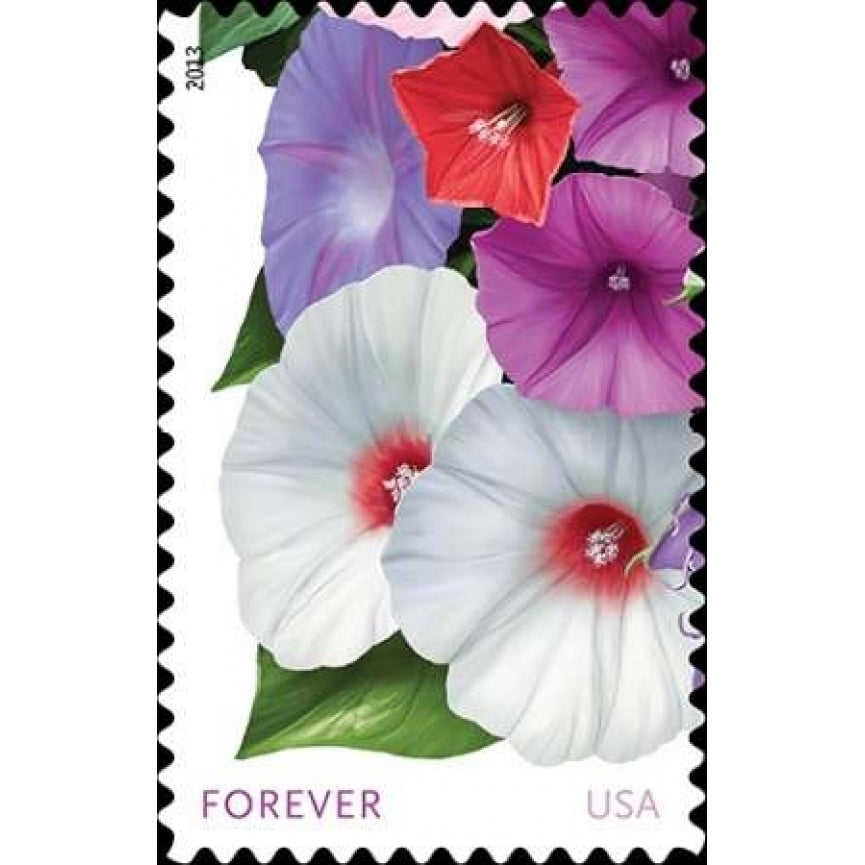 Morning Glories Poster Print by US Image 1