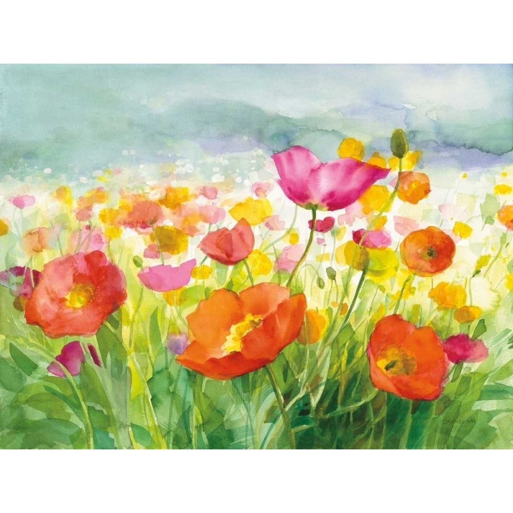 Meadow Poppies Poster Print by Danhui Nai Image 1