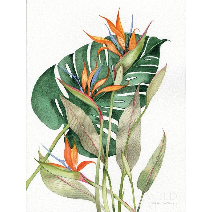 Botanical Birds of Paradise Poster Print by Kathleen Parr McKenna Image 1