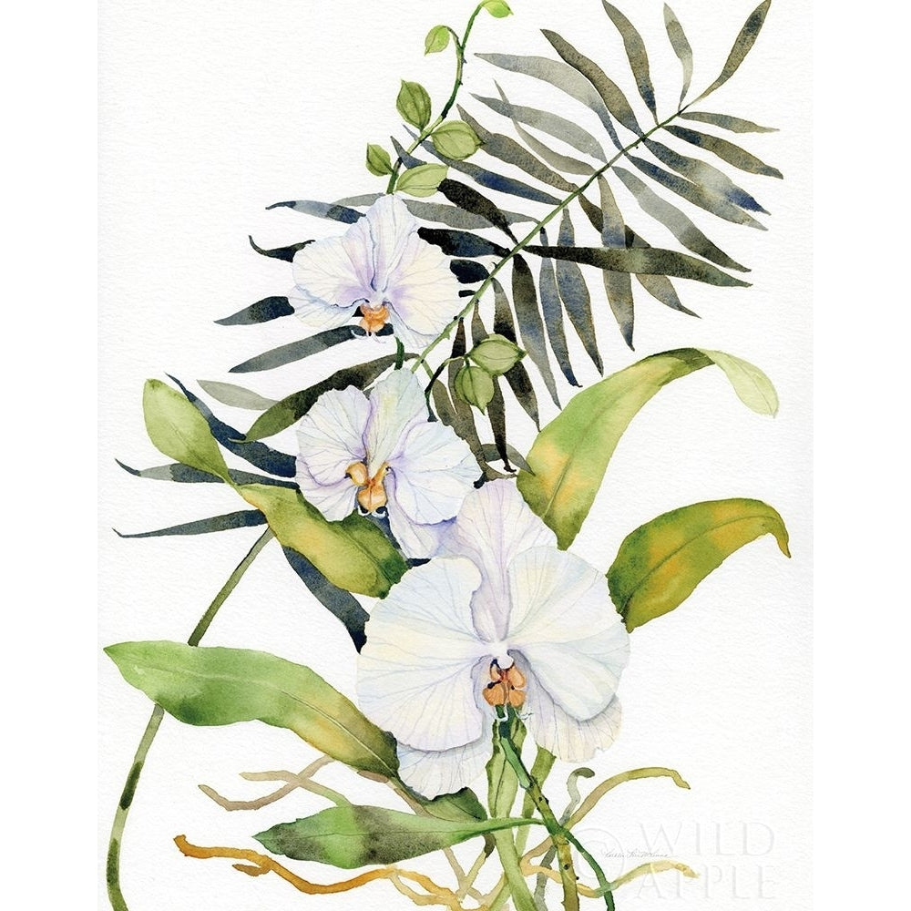 Botanical Phalaenopsis Crop Poster Print by Kathleen Parr McKenna Image 1