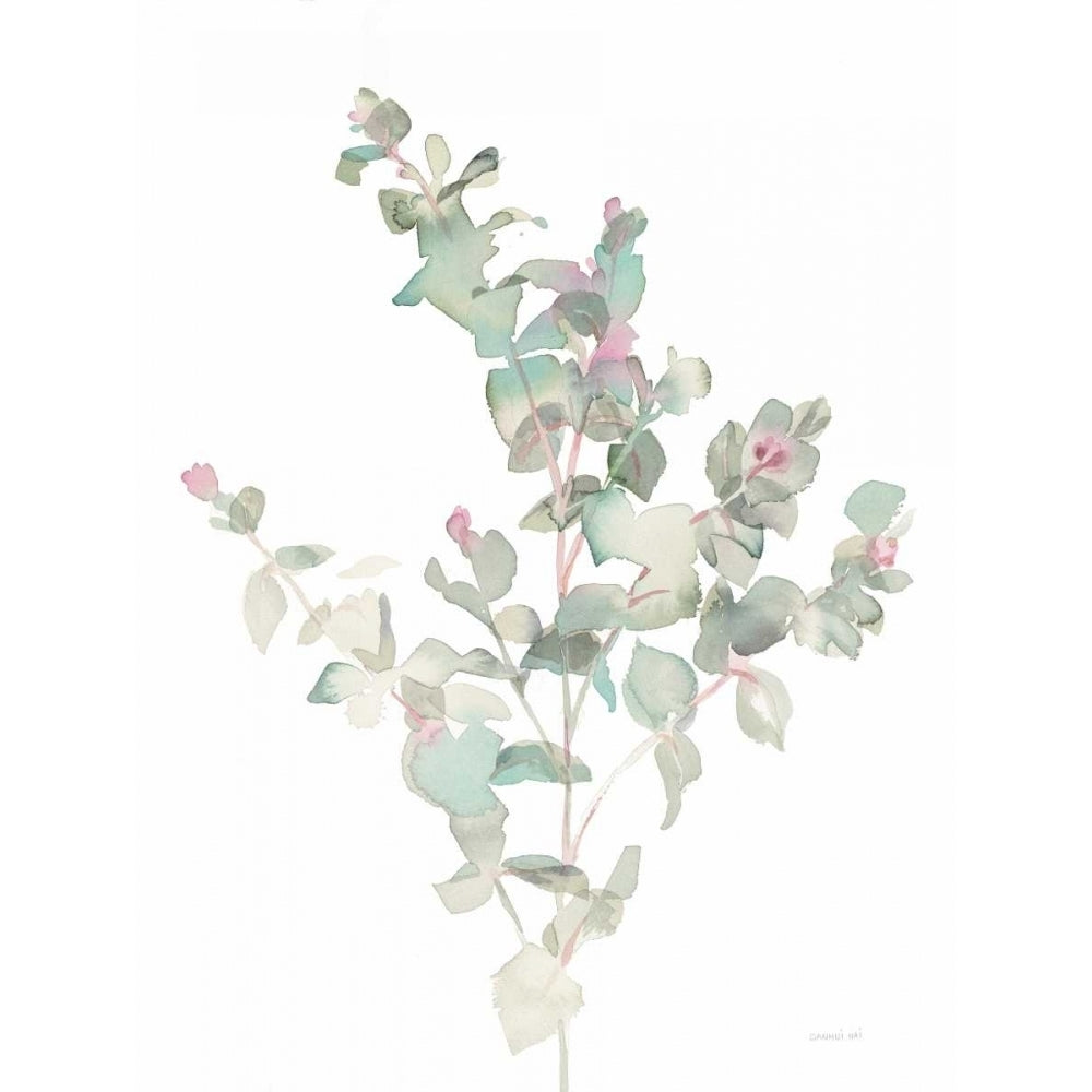 Eucalyptus II White Poster Print by Danhui Nai Image 1