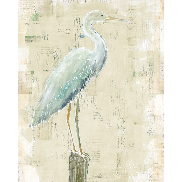 Coastal Egret I V2 No Aqua Poster Print by Sue Schlabach Image 2