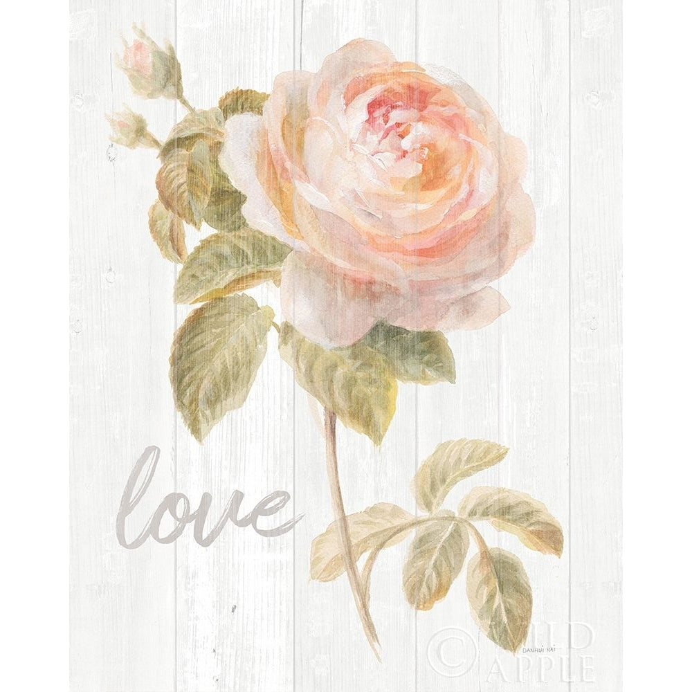 Garden Rose on Wood Love Poster Print by Danhui Nai Image 1