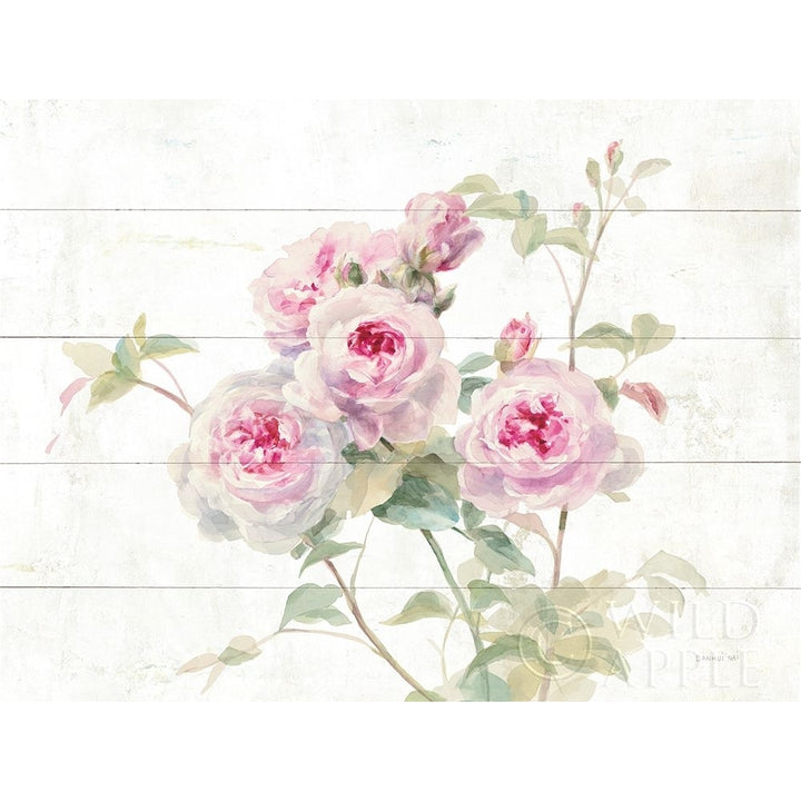 Sweet Roses On Wood Poster Print by Danhui Nai Image 2