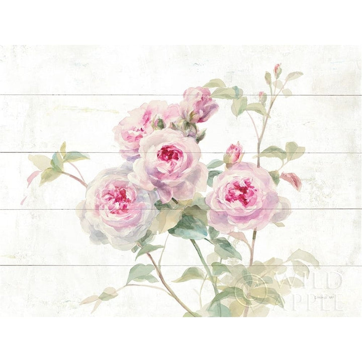 Sweet Roses On Wood Poster Print by Danhui Nai Image 1