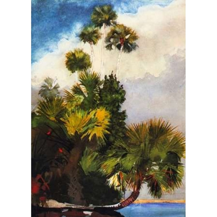 Palm Trees Florida Poster Print by Winslow Homer Image 1