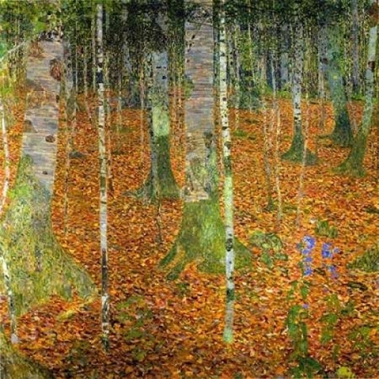 Birch Wood 1903 Poster Print by Gustav Klimt Image 1