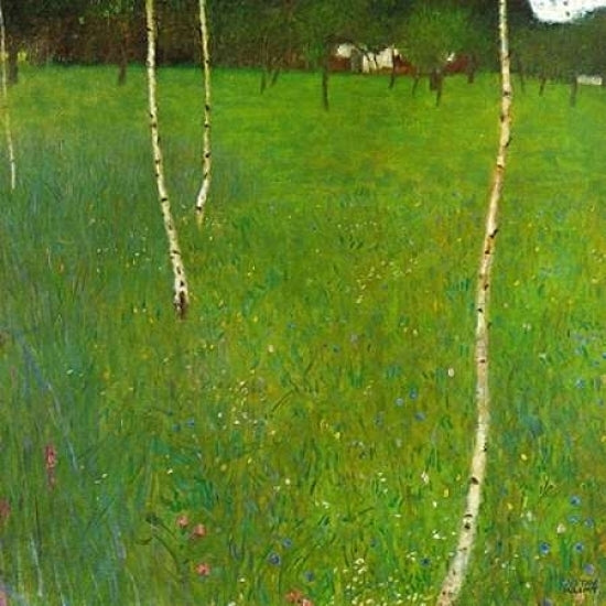 Farmhouse With Birch Trees Poster Print by Gustav Klimt Image 1