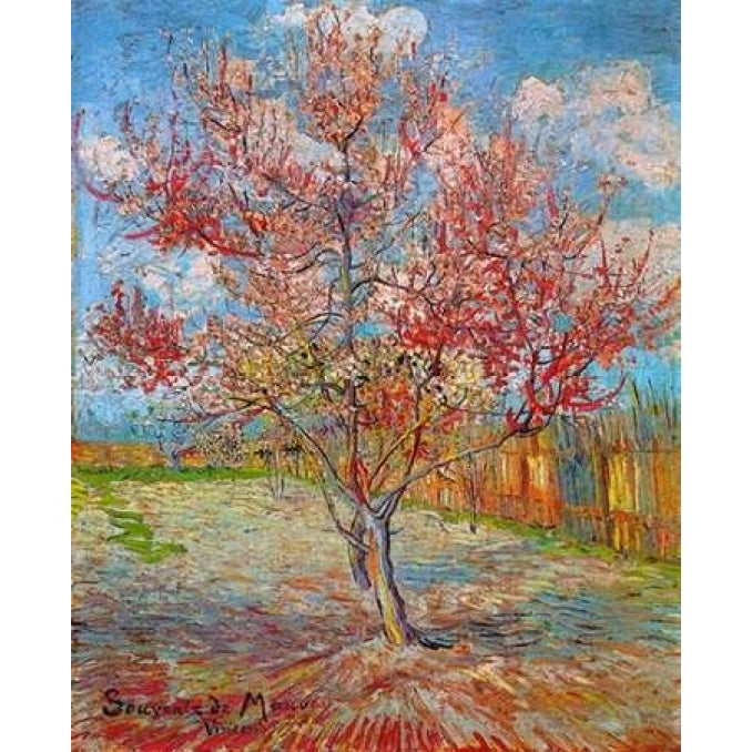 Pink Peach Tree In Blossom Poster Print by Vincent Van Gogh Image 1