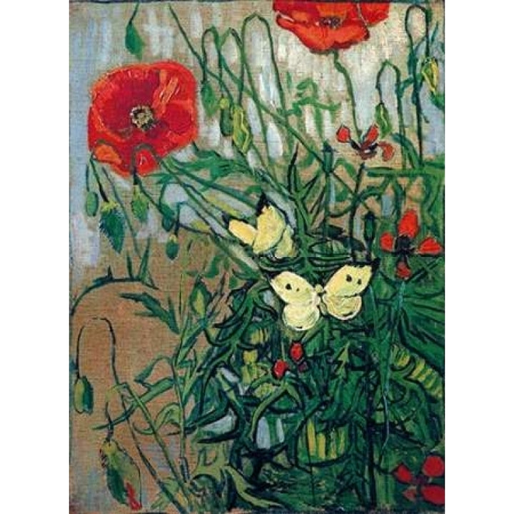 Butterflies And Poppies Poster Print by Vincent Van Gogh Image 2