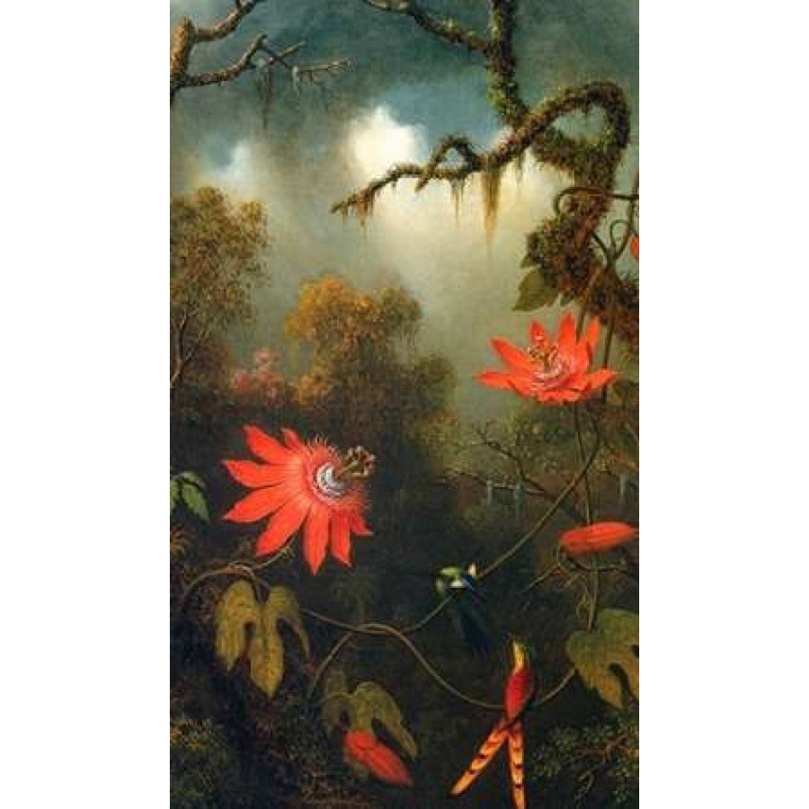 Two Hummingbirds Perched On Passion Flower Vines Poster Print by Martin Johnson Heade Image 1