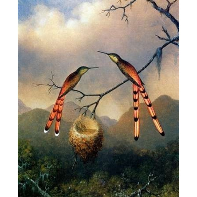 Two Hummingbirds With Their Young Poster Print by Martin Johnson Heade Image 1