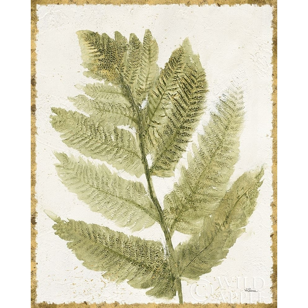 Forest Ferns I Antique Poster Print by Albena Hristova Image 1