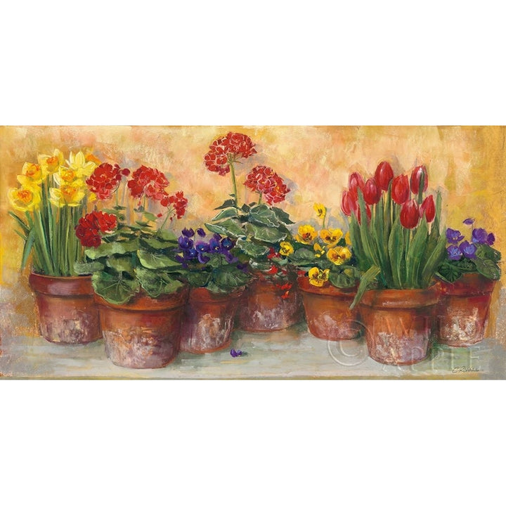 Spring In The Greenhouse Poster Print by Carol Rowan Image 2