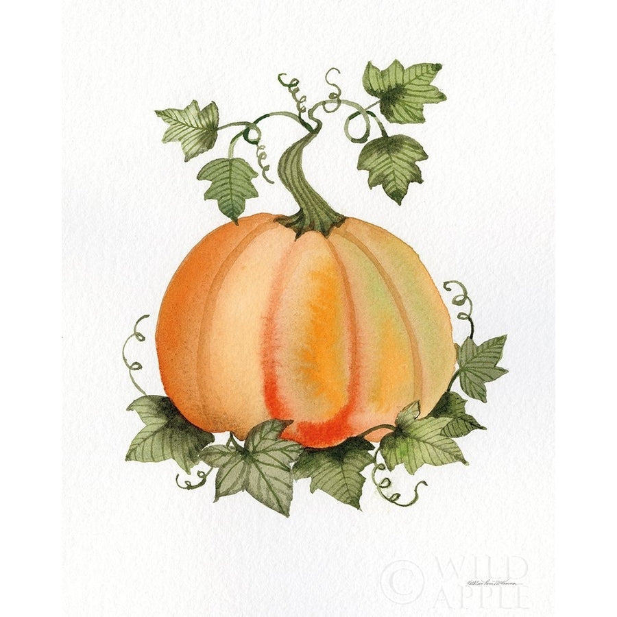 Pumpkin And Vines Ii Poster Print by Kathleen Parr McKenna Image 1