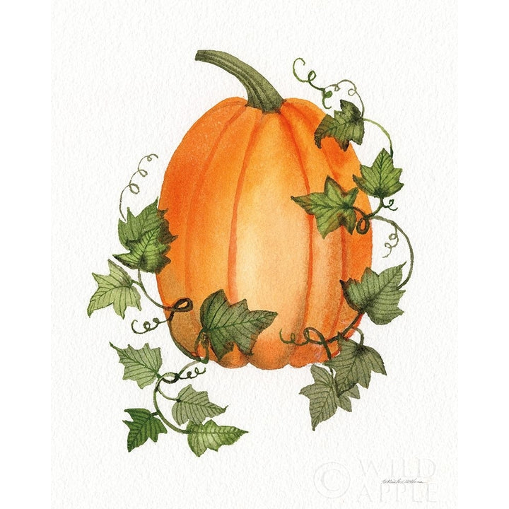 Pumpkin And Vines Iv Poster Print by Kathleen Parr McKenna Image 1