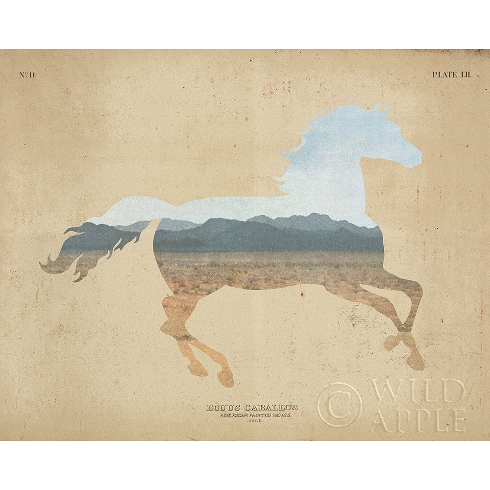 American Southwest Horse Distressed Poster Print by Wild Apple Portfolio Image 1