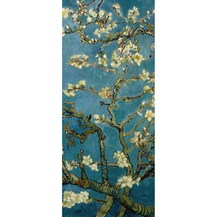 Blossoming Almond Tree - center Poster Print by Vincent Van Gogh Image 2